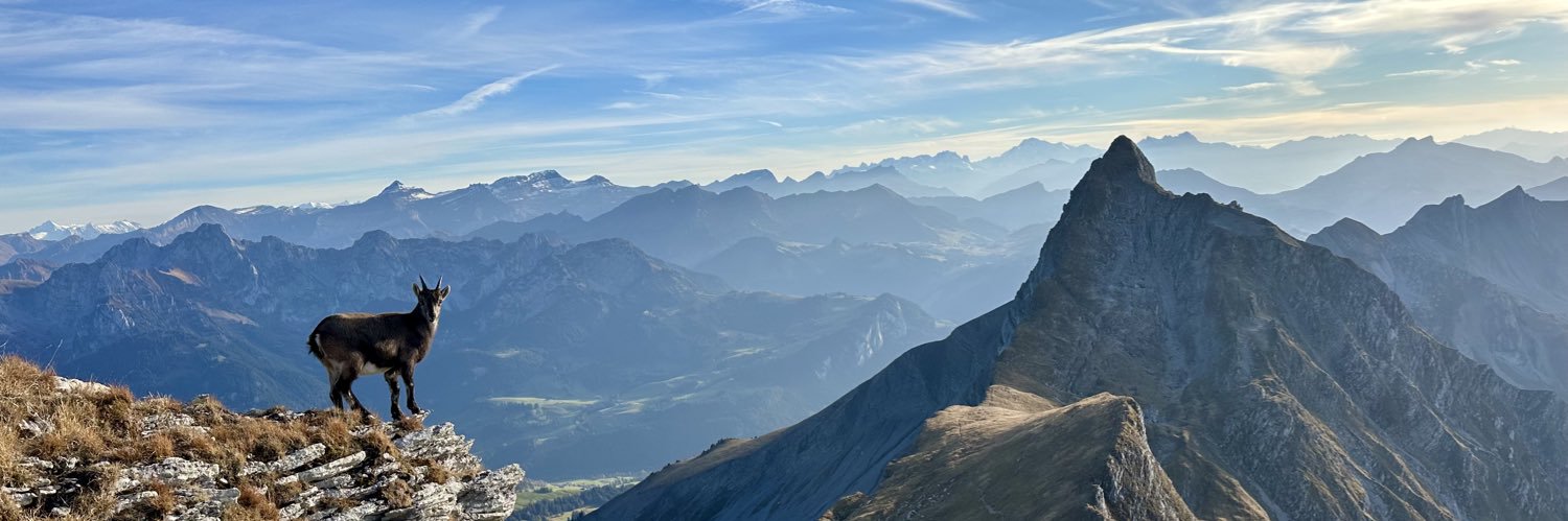 pro_schwizz's profile banner image