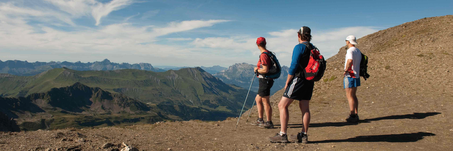 Running Freedom banner