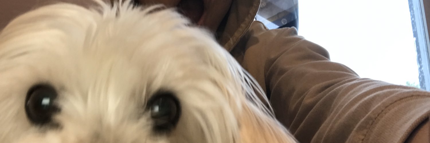 SquareSanctuary's profile banner image