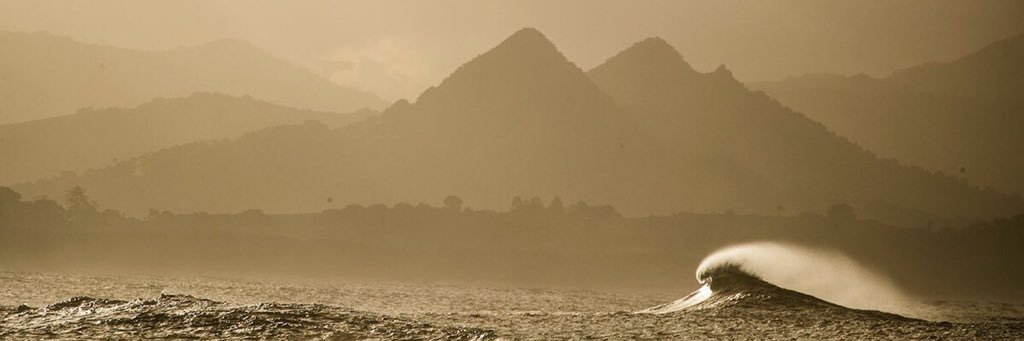 WalkerJensen's profile banner image