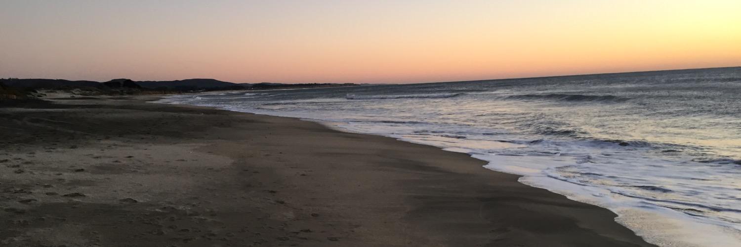 hanalani12's profile banner image