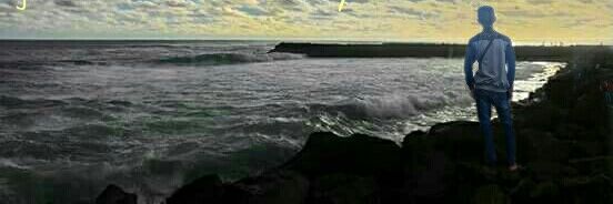 riez banner