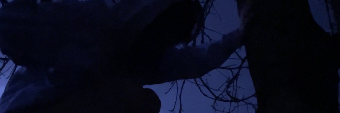 brianaraelyn_'s profile banner image