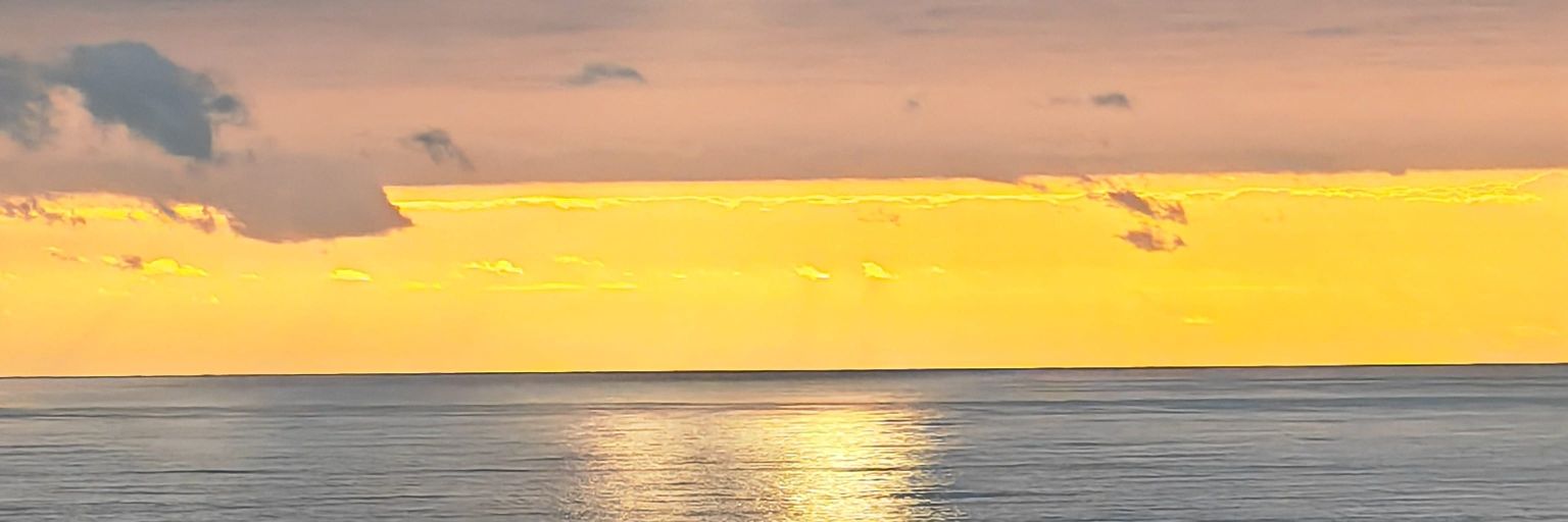 82CarlosP's profile banner image