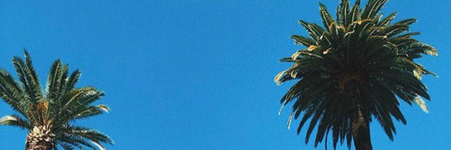 romain banner