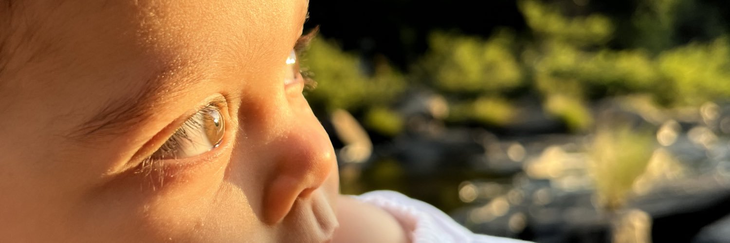 leticiaProcacio's profile banner image