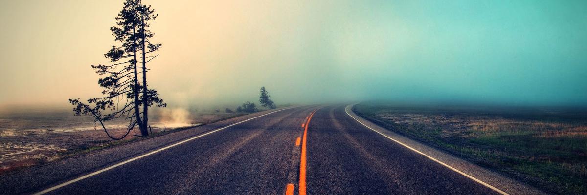ss2177's profile banner image
