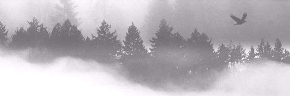 Nadasult_'s profile banner image