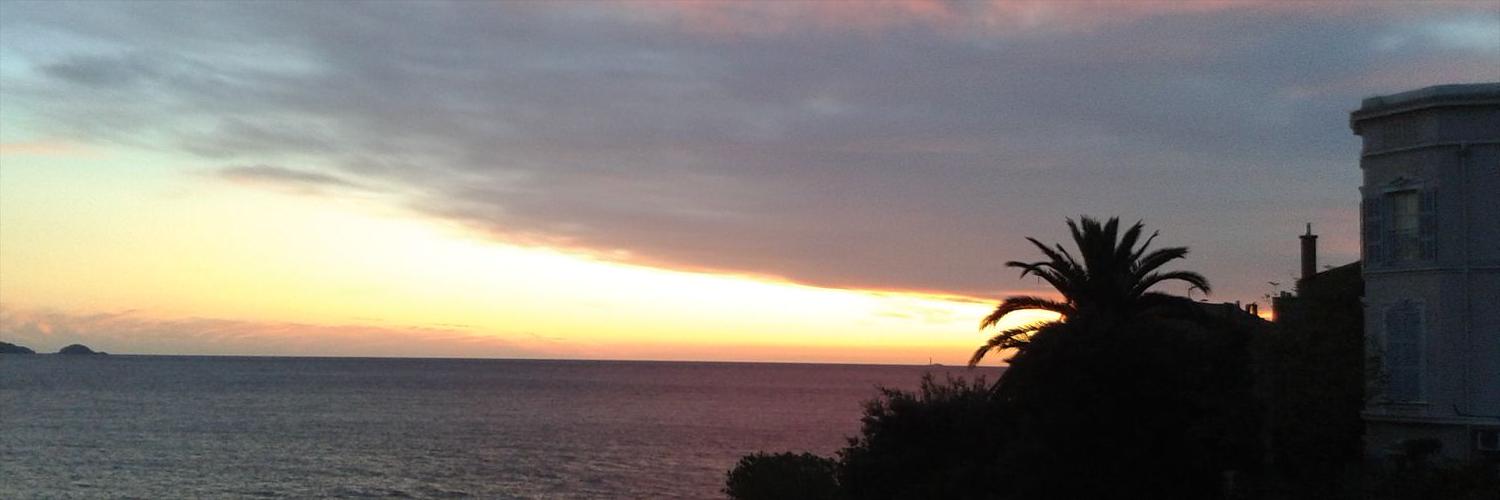 MusarellaDaniel's profile banner image