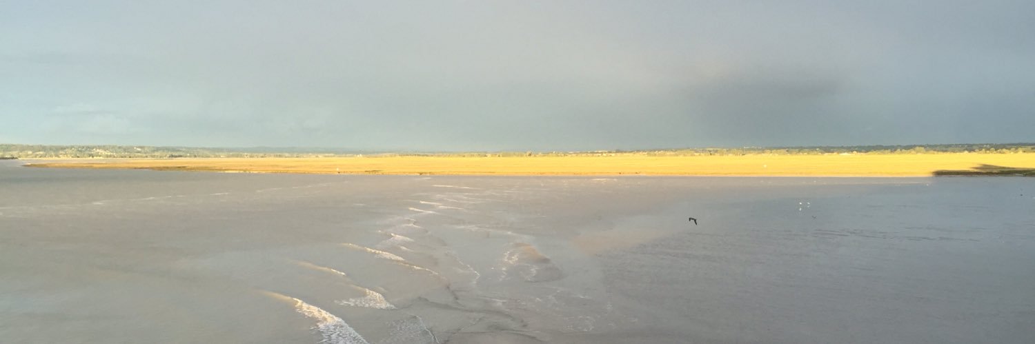 muntsamu's profile banner image