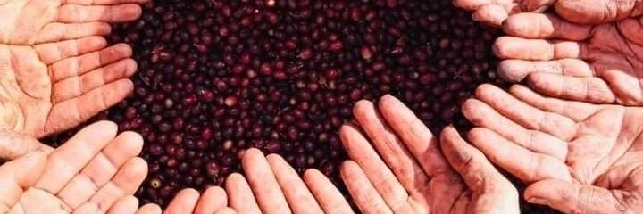 sil1535's profile banner image