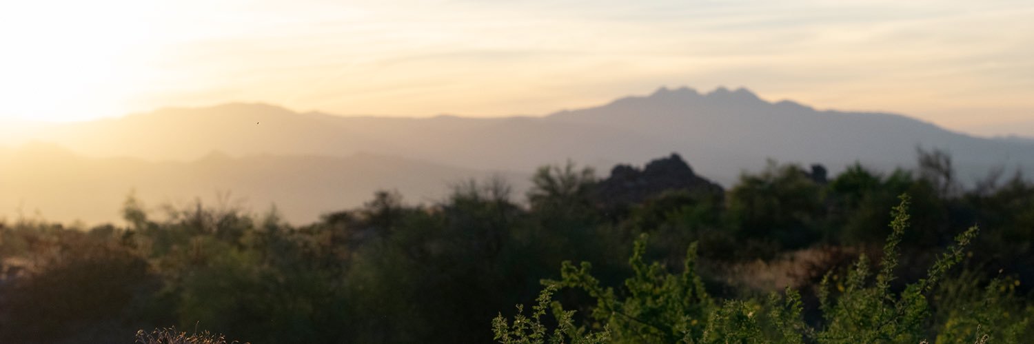 nicoletruxes's profile banner image