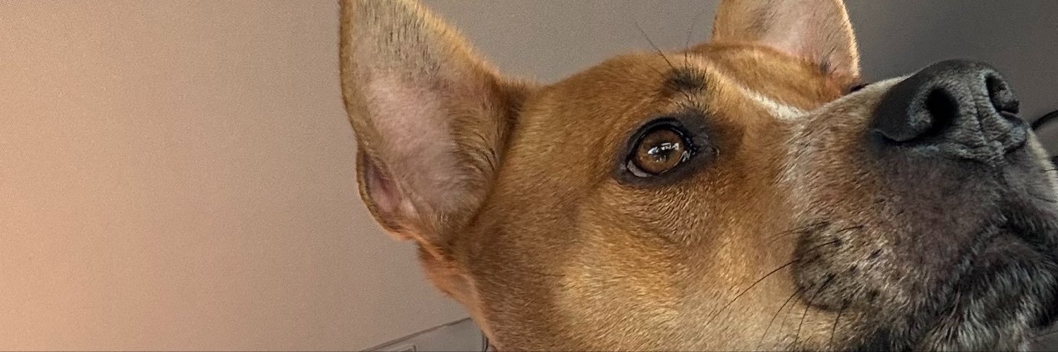 juleisy_19's profile banner image