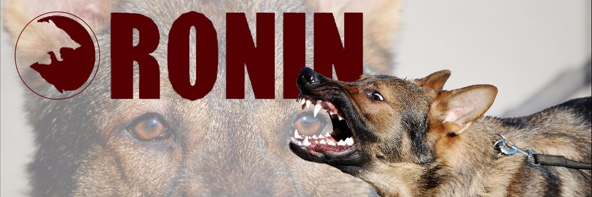 Ronin Dog Training banner