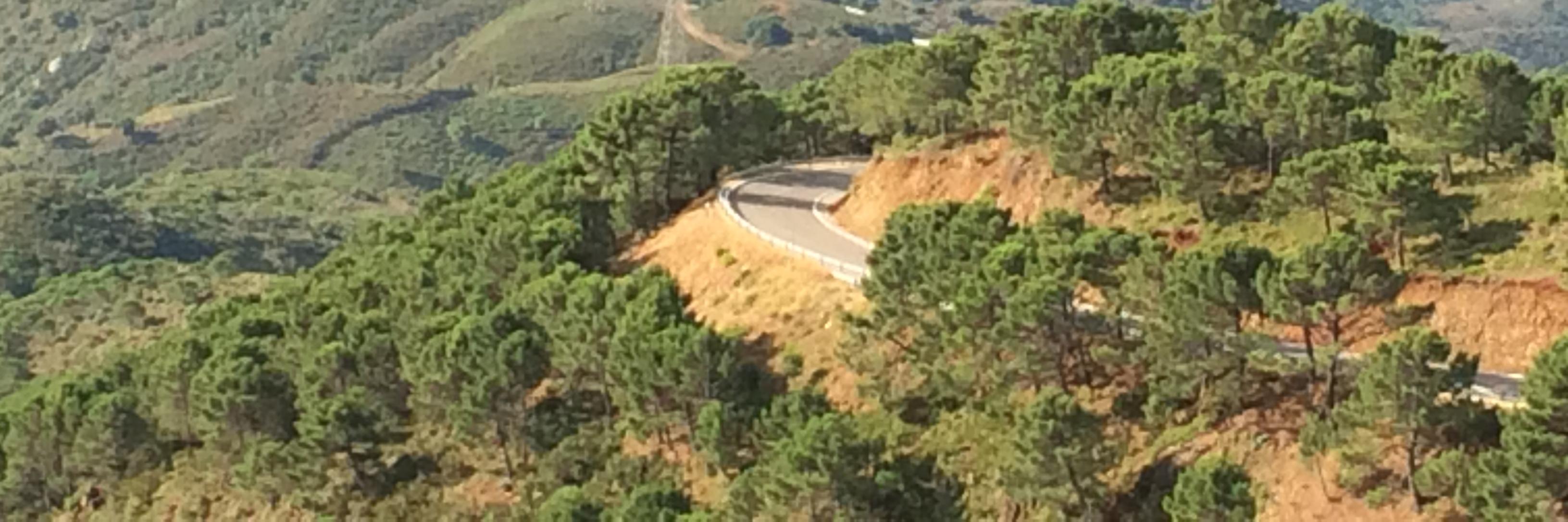 cyclisttours's profile banner image