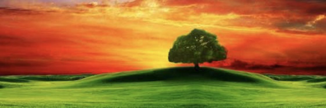 Esen_tik's profile banner image
