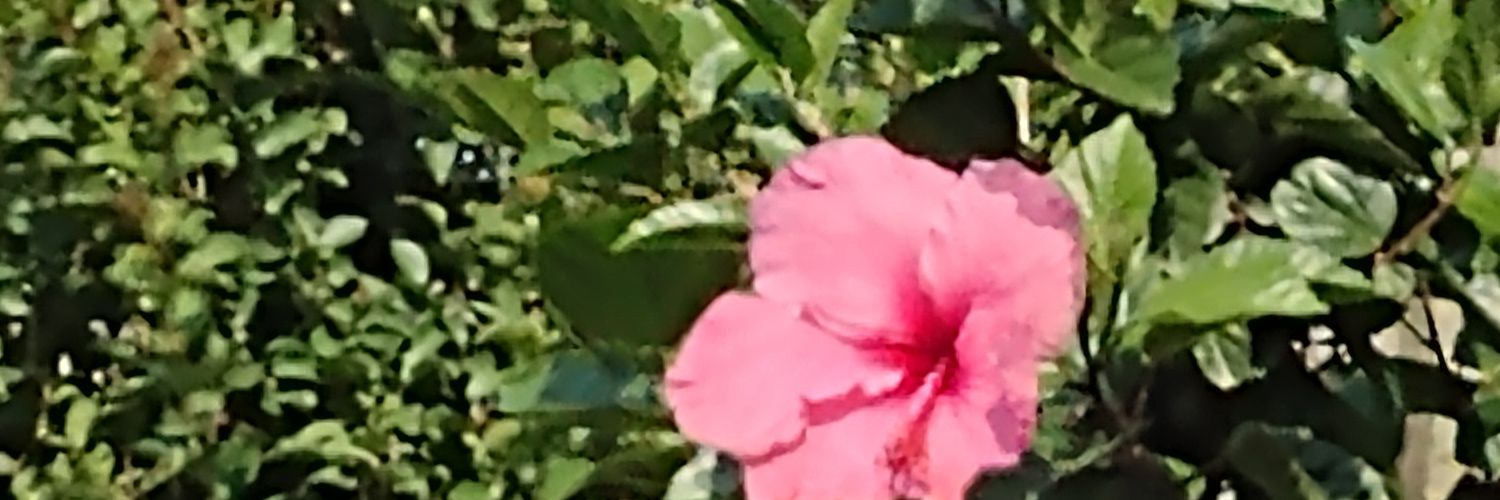 Marcia_73's profile banner image
