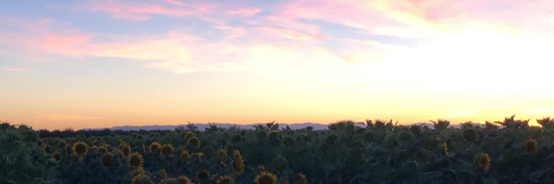 AllisonGuss's profile banner image