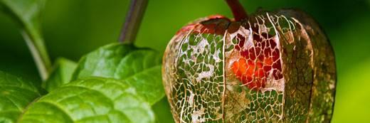 Eat2BeatDisease's profile banner image