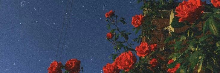bacanizou's profile banner image