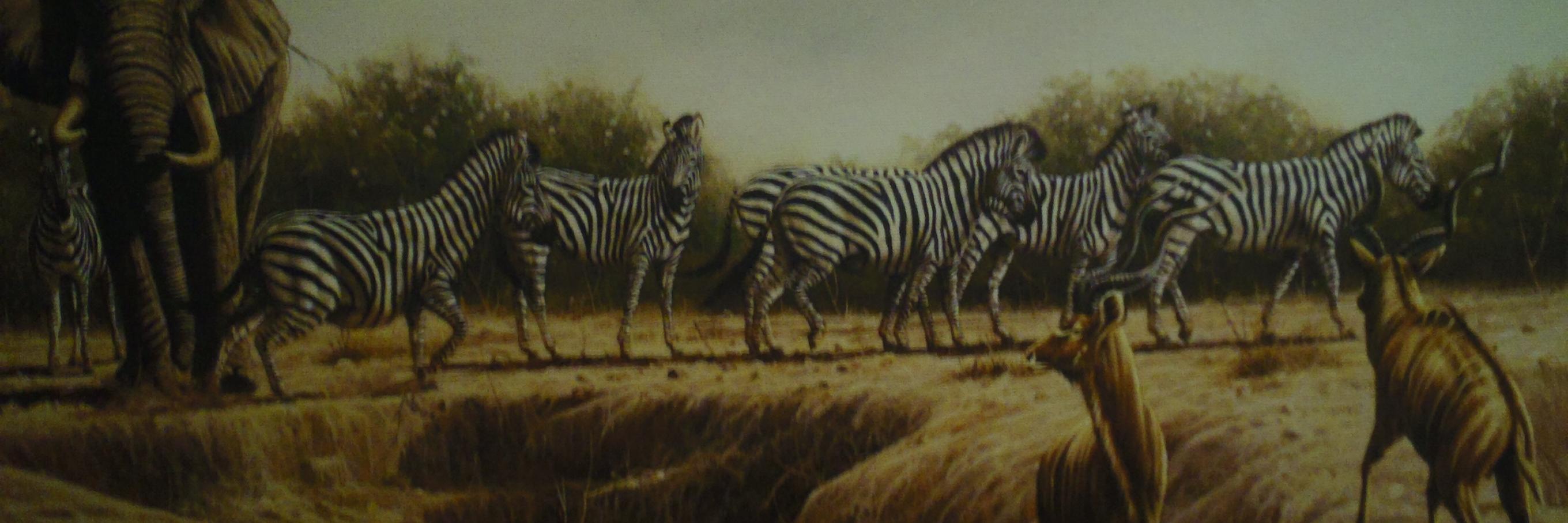RussellSchwahn's profile banner image