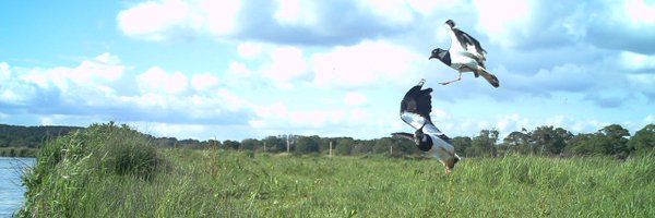 WadersForReal Profile Banner