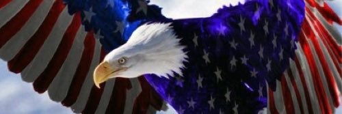jjsenate's profile banner image