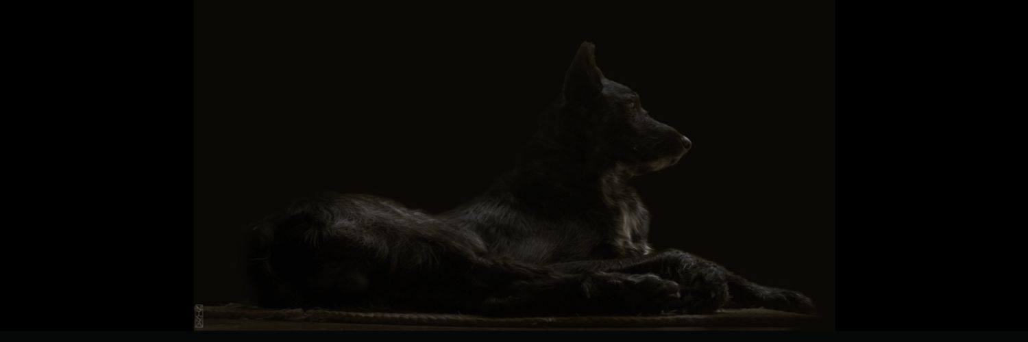 _erik_hi_'s profile banner image