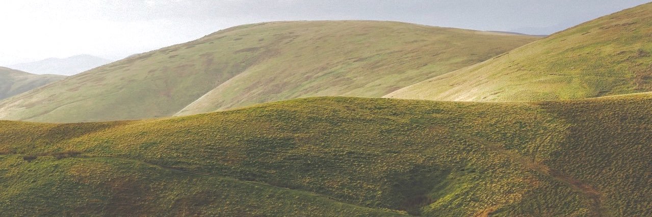 IsabelleNaylor's profile banner image