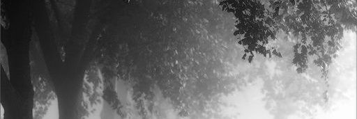 qlpaH's profile banner image