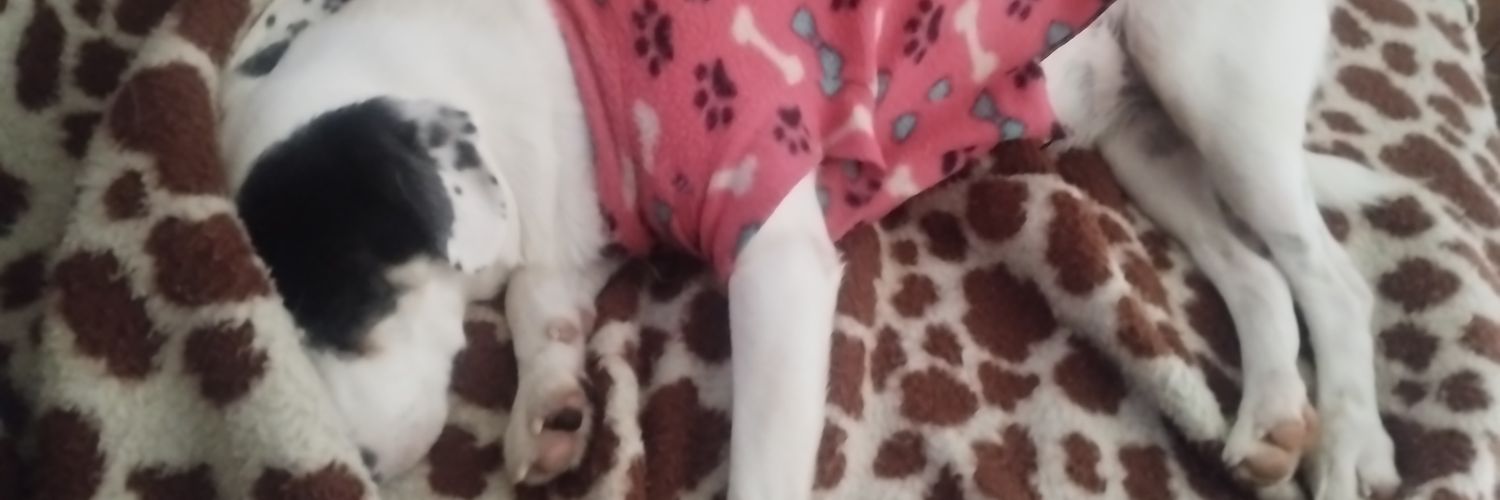 Ian Lourenço banner