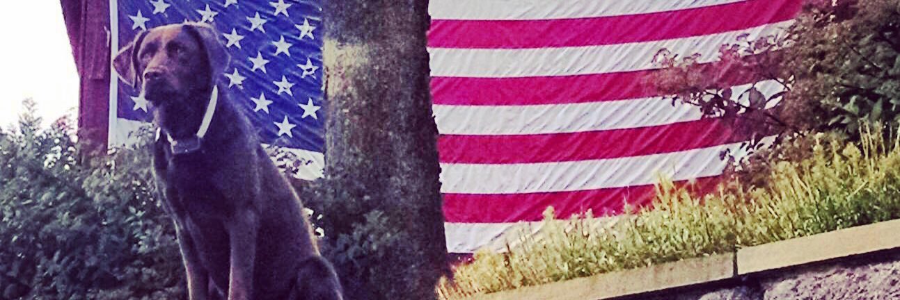 jkings27's profile banner image