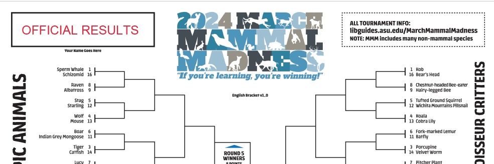 March Mammal Madness banner
