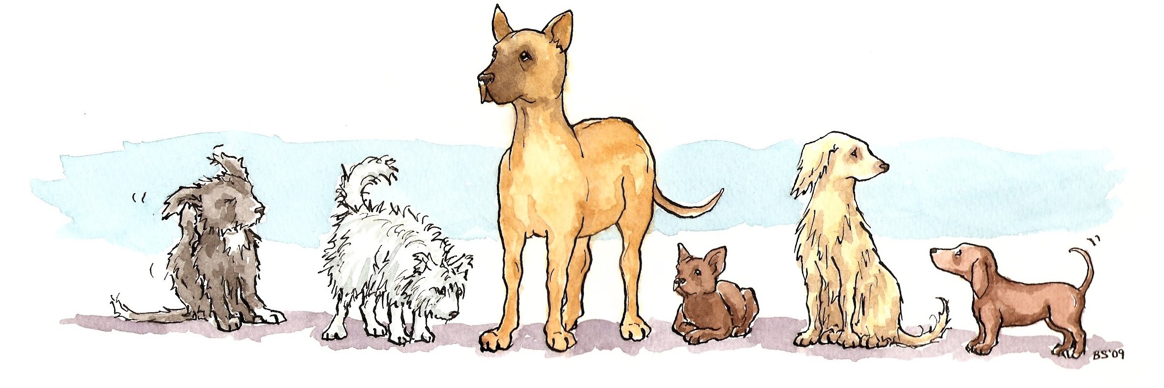 Bella Sabbagh 🇵🇸 banner