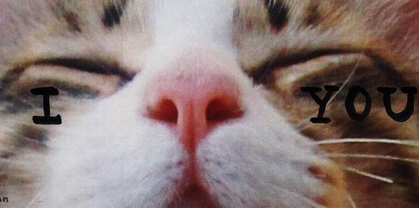 BryanRdzDM's profile banner image