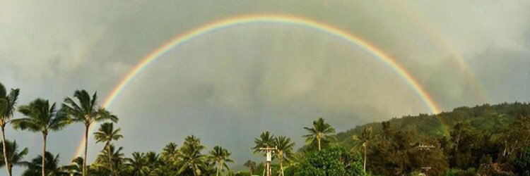lilytinz's profile banner image