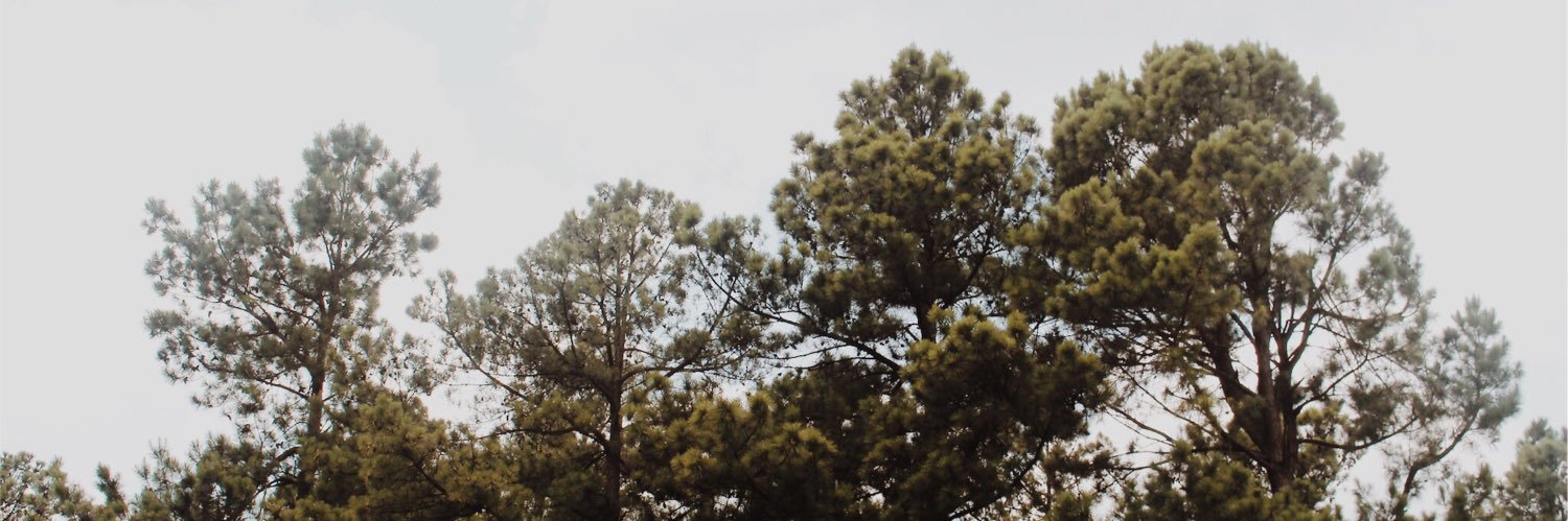 perdue_rose's profile banner image