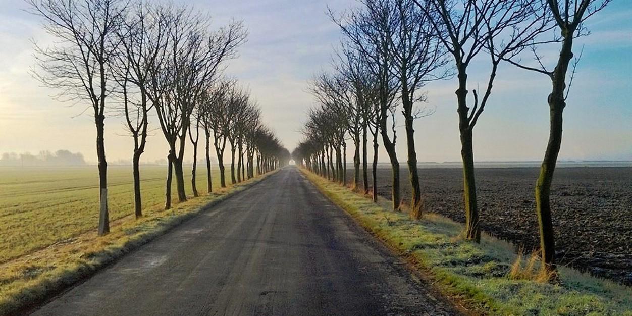 Gareth Russell banner