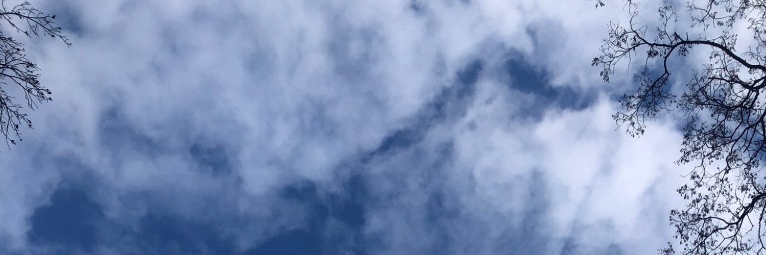 MicccccMart's profile banner image