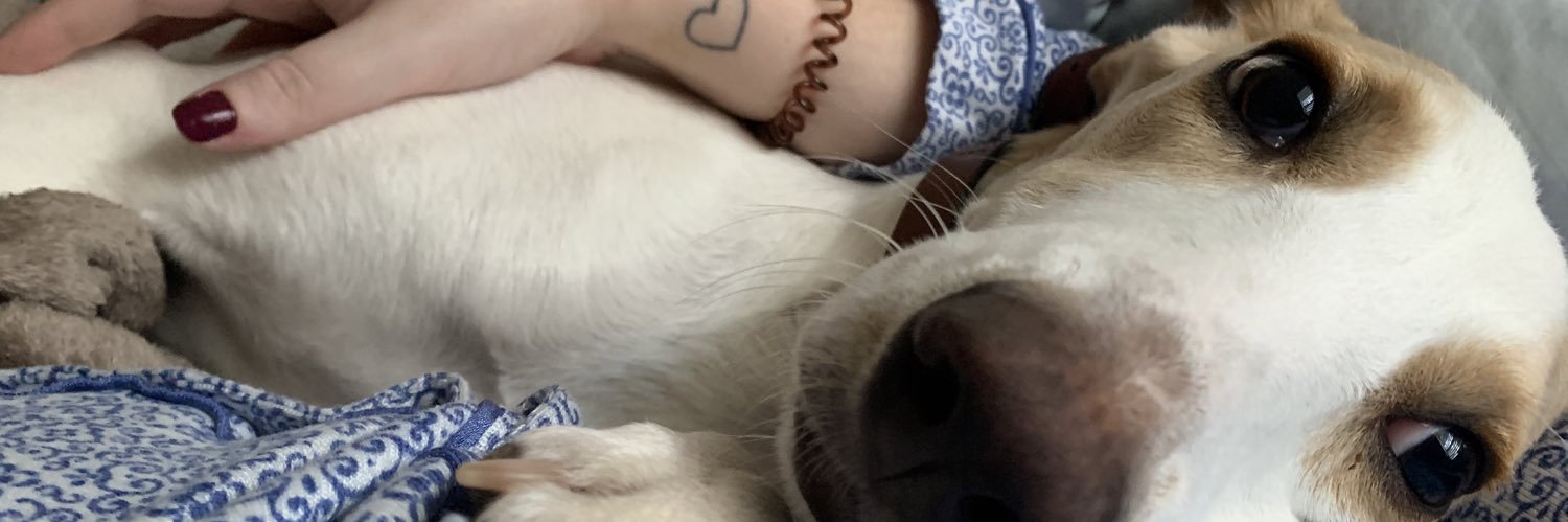 alizardmarie23's profile banner image