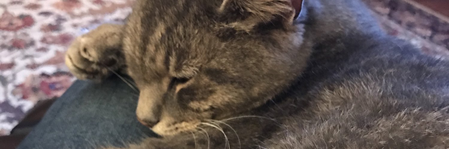 @dab106.bsky.social 🐧🇺🇦 banner