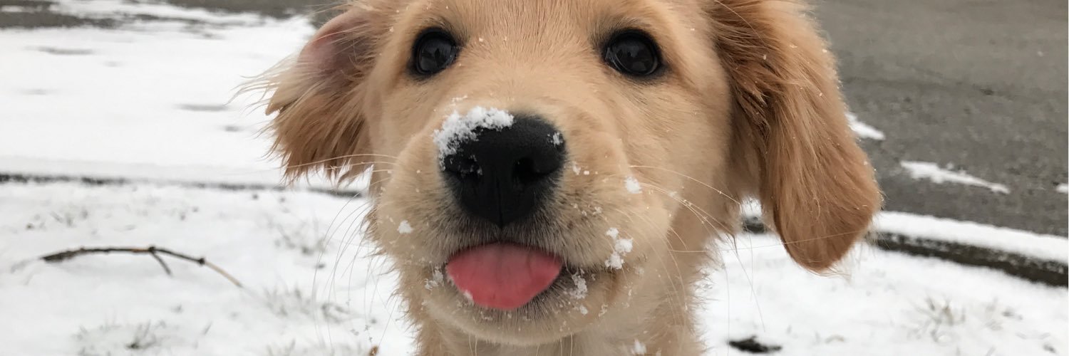 eraeee_'s profile banner image
