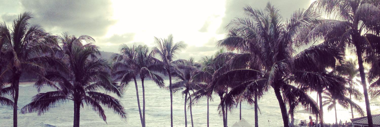 SandraSully123's profile banner image