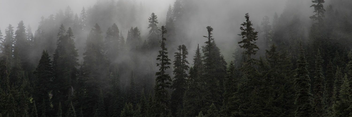 ckmauth's profile banner image