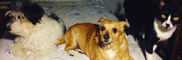 Sogtul666 Profile Banner