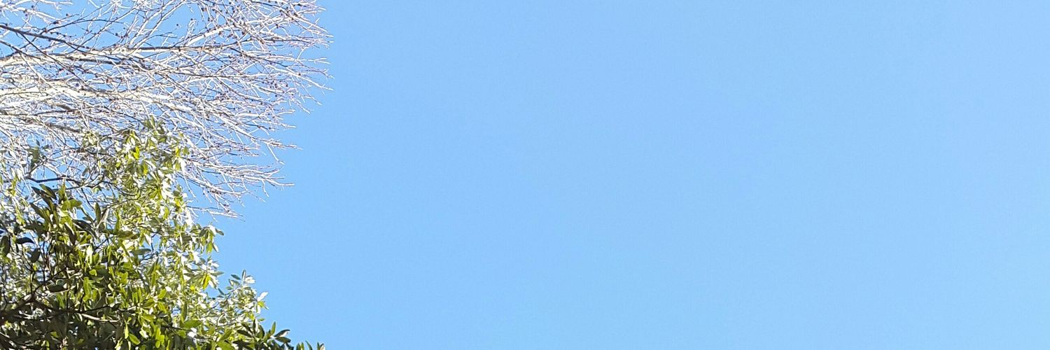 mariafloresh3's profile banner image