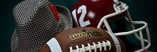 robin frantz 🅰️🐘 banner