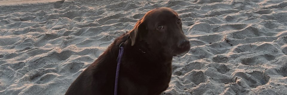 imfaulk__'s profile banner image