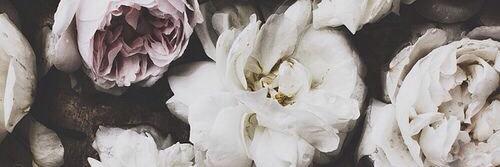 Emma banner
