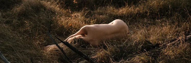 sinitza_'s profile banner image